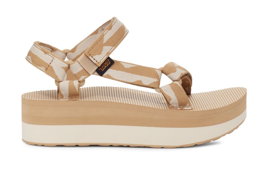 Braun-birke