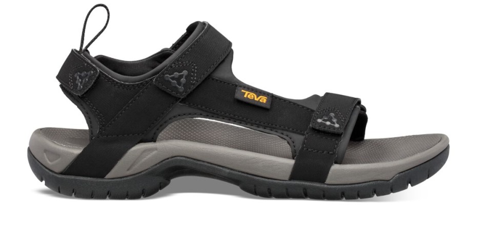 Teva Schwarz Meacham
