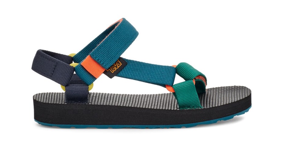 Blaue Koralle Multi
